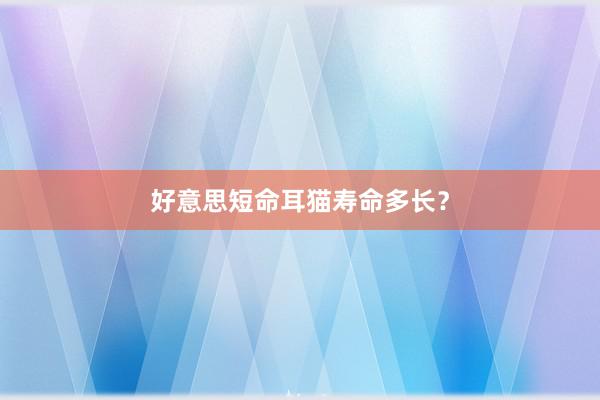 好意思短命耳猫寿命多长？